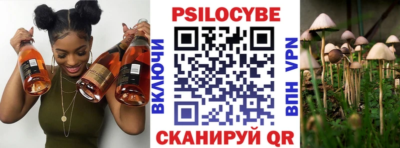 где купить   Палласовка  Псилоцибиновые грибы Psilocybine cubensis 